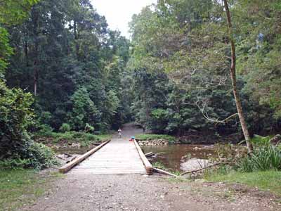 Wilson River