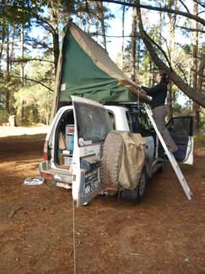 Wingello State Forest