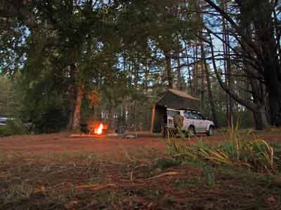 Wingello State Forest