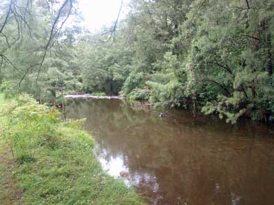 Manning River