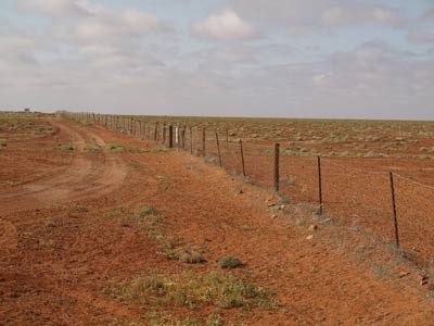 Dog Fence