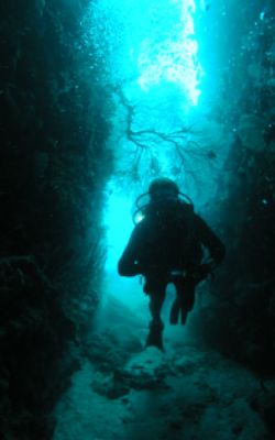 Mark's Ravine