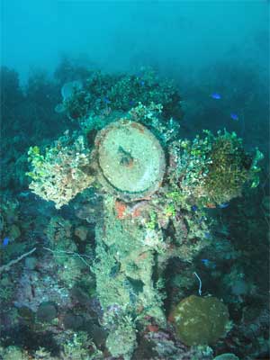 The Stern Telegraph