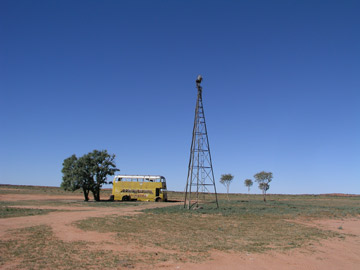 Yellow Bus