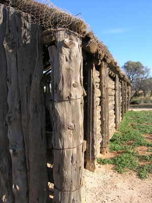 A shed at the Zanci ruins