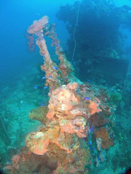 Aikoku Maru