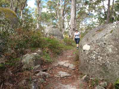 Bald Rock