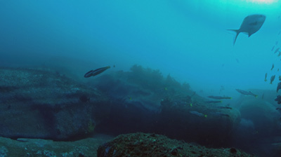 Behind The Cave