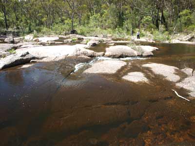Basket Swamp Falls