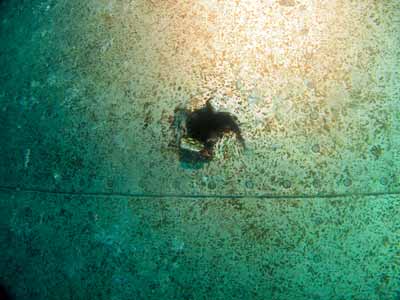 Betty Bomber