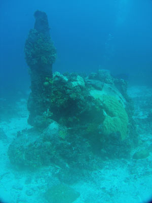 The nose of the Betty