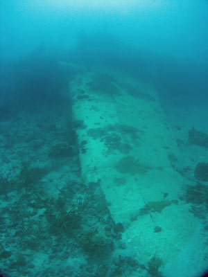 Betty Bomber