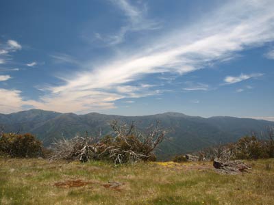 Bluff Hut