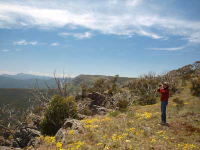 Bluff Hut