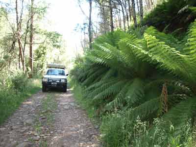 King Billy Track