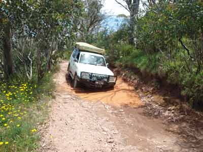 Bluff Track