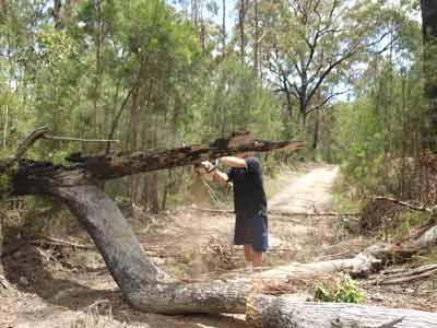 Boonoo Boonoo State Forest