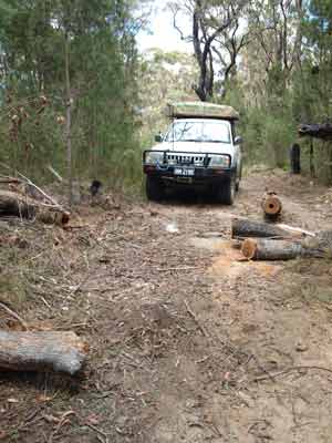 Boonoo Boonoo State Forest