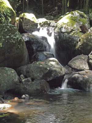Sheepstation Creek