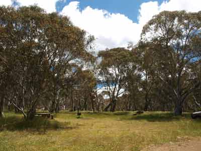 Bryces Gorge Camping Area