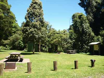 Forest Tops Camping Area