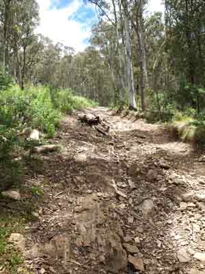 Castlehill Track
