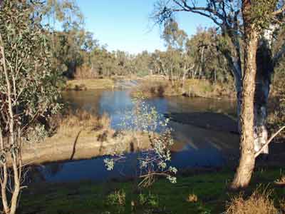The Murray River
