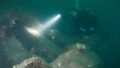 SMS Coln