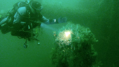 SMS Coln