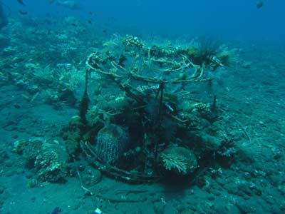 Artificial Reef