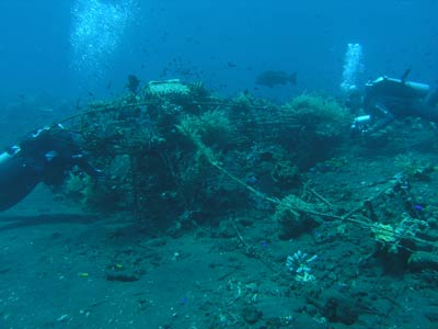 Artificial Reef