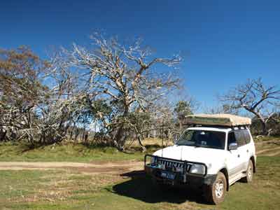 Davies Plain