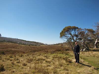 Davies Plain