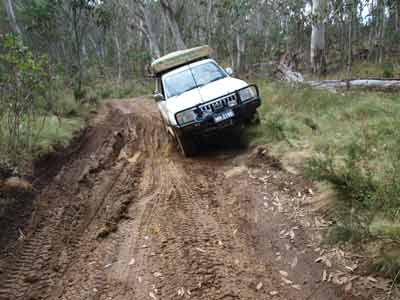 Davies Plain Track