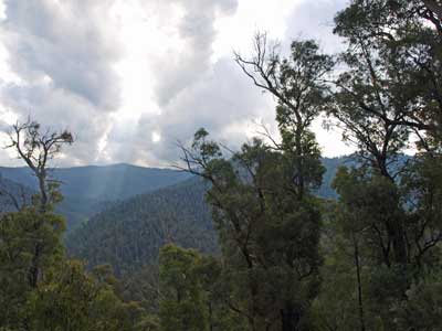 Davies Plain Track