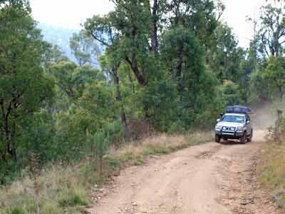 Davies Plain Track