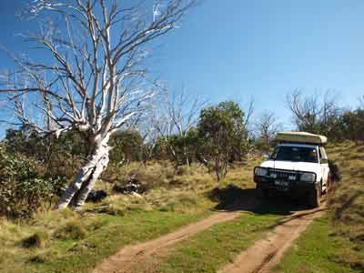 Davies Plain Track