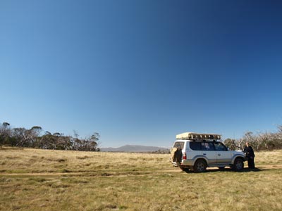 Davies Plain