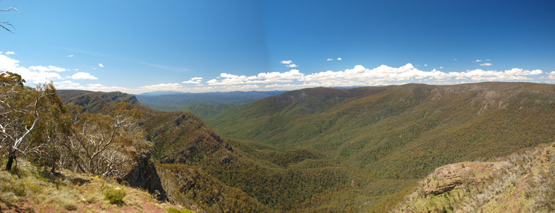 Dimmicks Lookout