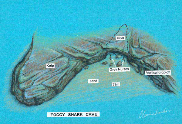 Foggy Cave