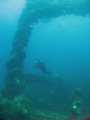 Fujikawa Maru funnel