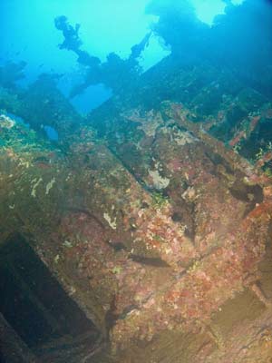 Fujisan Maru