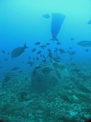 Gab Gab Reef No 2