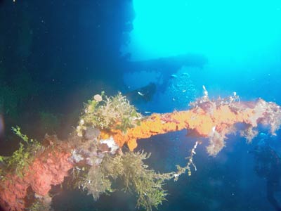 Gosei Maru