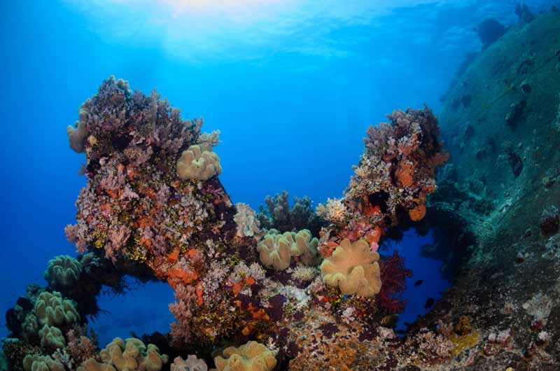 Gosei Maru