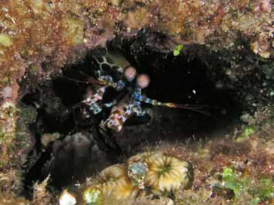 Blue Hole