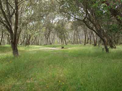 Holmes Plain