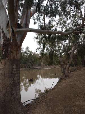 Billabong Creek