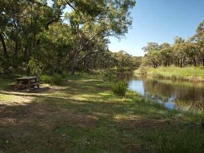 Kings Plains NP