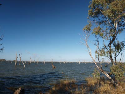 Lake Mulwala
